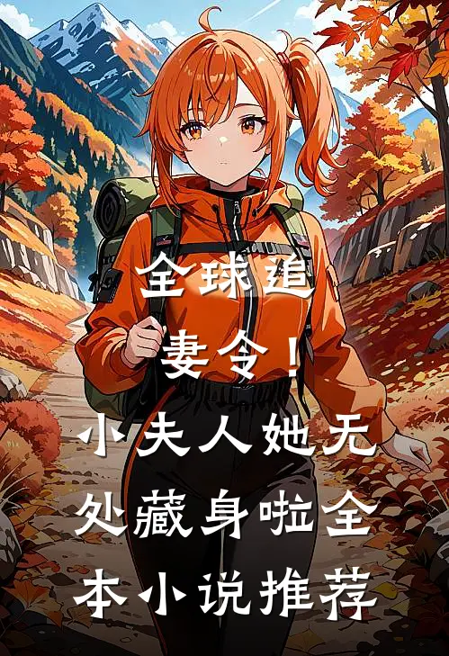 全球追妻令!小夫人她无处藏身啦全本推荐免费阅读