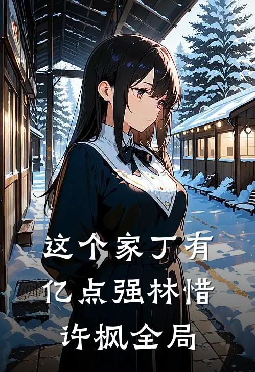 这个家丁有亿点强林惜许枫全局