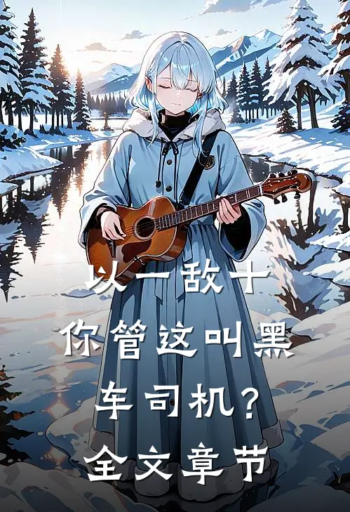 以一敌十，你管这叫黑车司机？全文章节