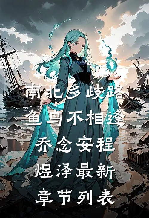 南北多歧路，鱼鸟不相逢乔念安程煜泽最新章节列表