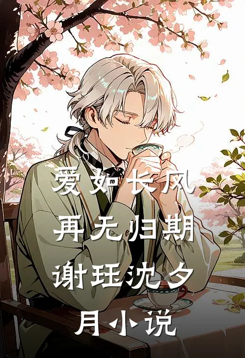 爱如长风，再无归期谢珏沈夕月小说