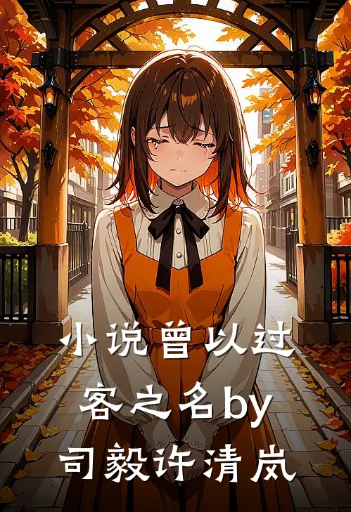 小说曾以过客之名by司毅许清岚