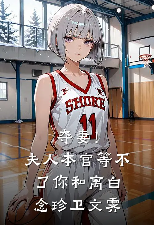 夺妻！夫人，本官等不了你和离白念珍卫文霁