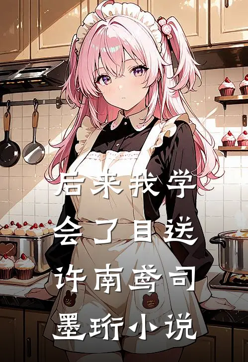 后来我学会了目送许南鸢司墨珩小说