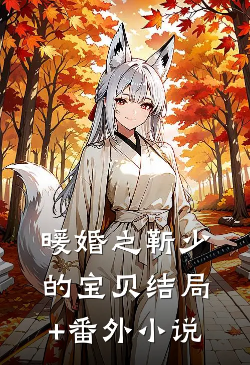 暖婚之靳少的宝贝结局+番外小说