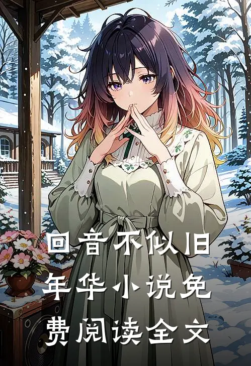 回音不似旧年华小说免费阅读全文