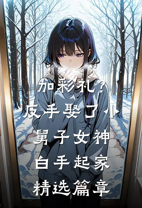 加彩礼？反手娶了小舅子女神，白手起家精选篇章