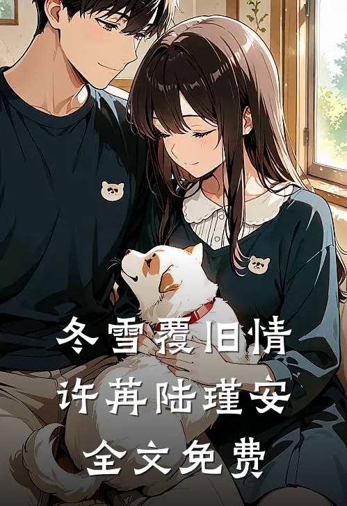 冬雪覆旧情许苒陆瑾安全文免费