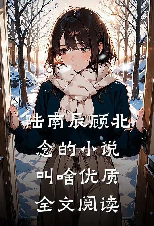 陆南辰顾北念的小说叫啥优质全文阅读