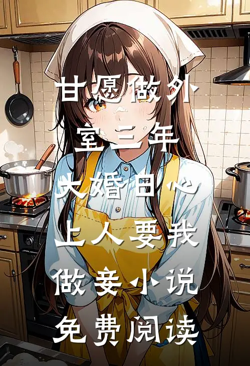 甘愿做外室三年，大婚日心上人要我做妾小说免费阅读