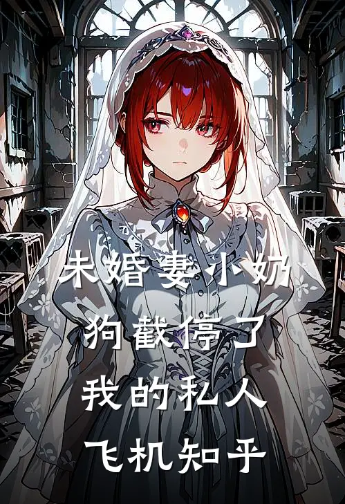 未婚妻小奶狗截停了我的私人飞机知乎