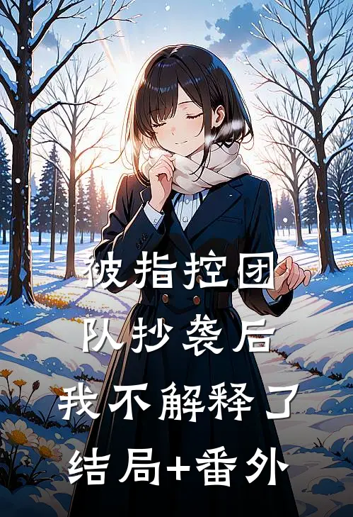 被指控团队抄袭后，我不解释了结局+番外