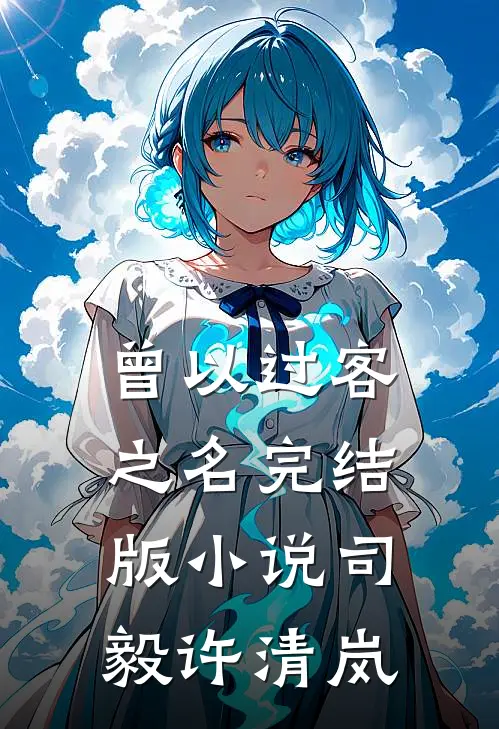 曾以过客之名完结版小说司毅许清岚