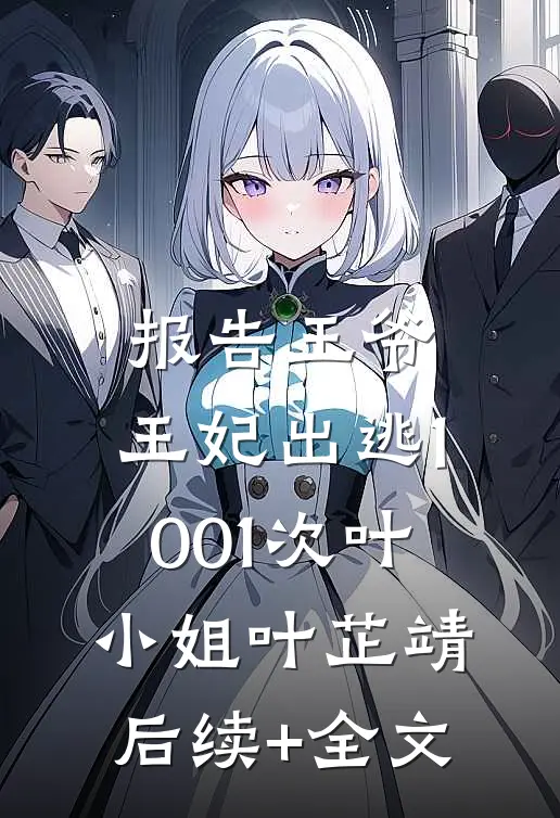 报告王爷，王妃出逃1001次叶小姐叶芷靖后续+全文