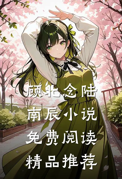 顾北念陆南辰小说免费阅读精品推荐