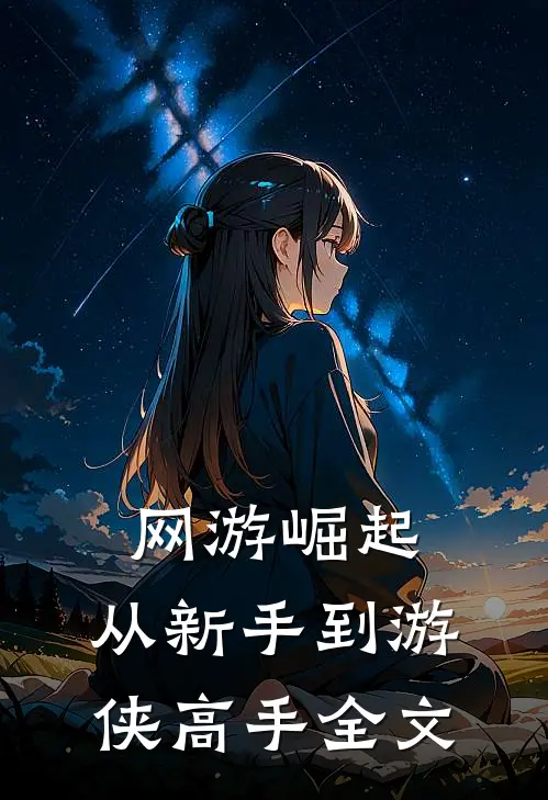 网游崛起：从新手到游侠高手全文