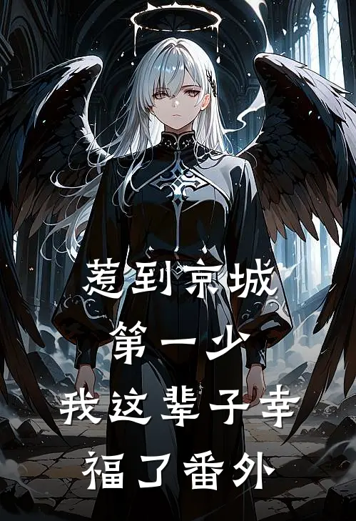 惹到京城第一少，我这辈子幸福了 番外