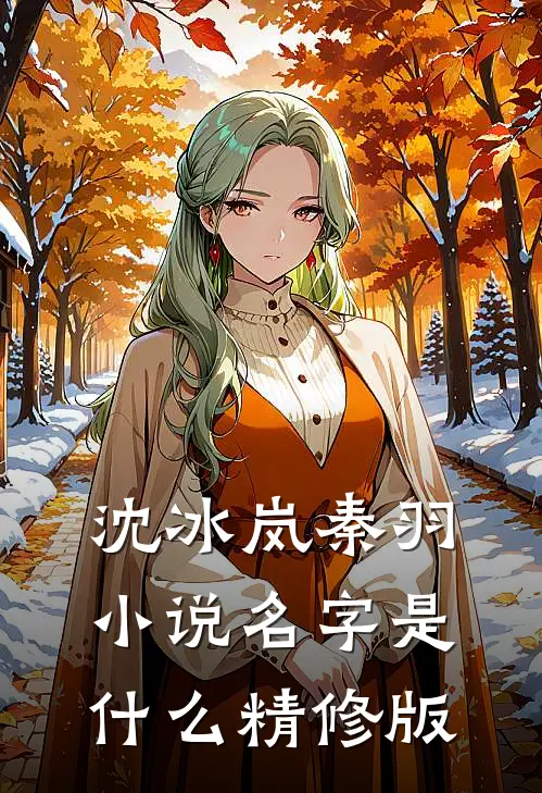 沈冰岚秦羽小说名字是什么精修版