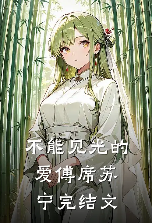 不能见光的爱傅席苏宁完结文