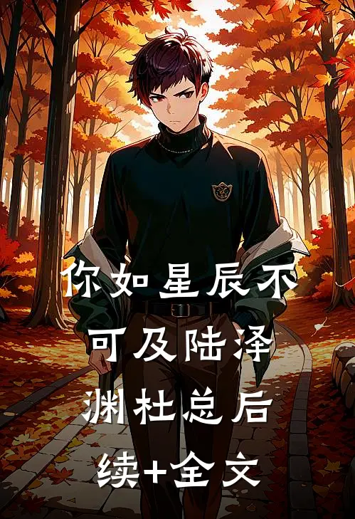 你如星辰不可及陆泽渊杜总后续+全文