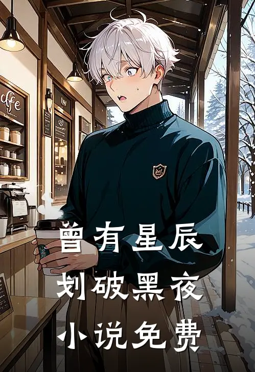 曾有星辰划破黑夜小说免费