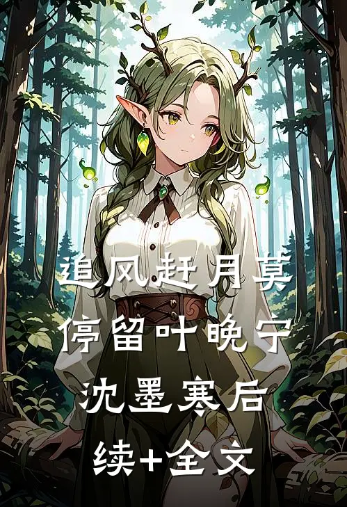 追风赶月莫停留叶晚宁沈墨寒后续+全文