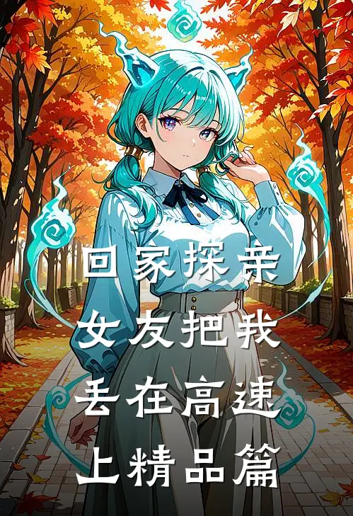 回家探亲，女友把我丢在高速上精品篇