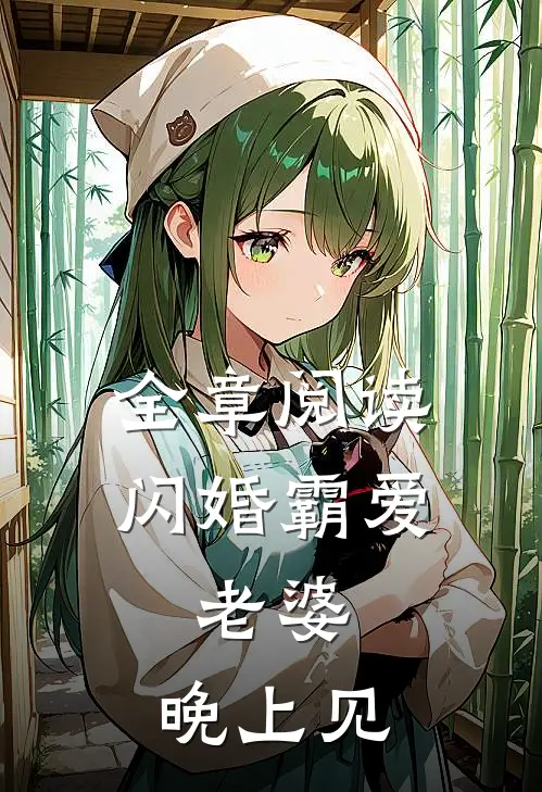 全章阅读闪婚霸爱：老婆，晚上见