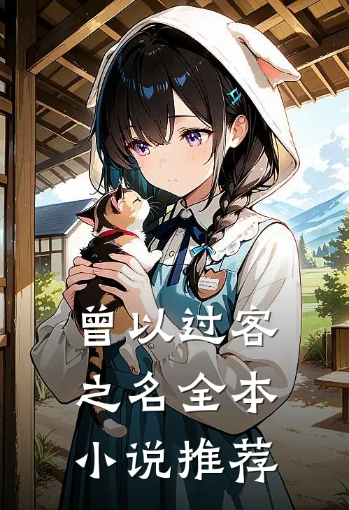 曾以过客之名全本小说推荐