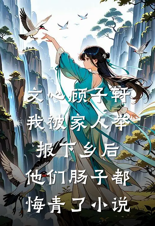 文心顾子轩我被家人举报下乡后，他们肠子都悔青了小说