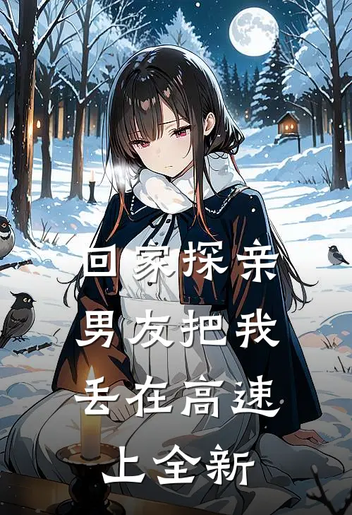 回家探亲，男友把我丢在高速上全新