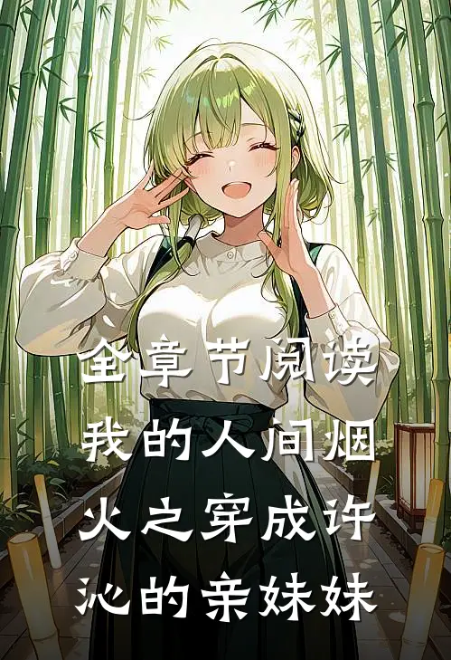 全章节阅读我的人间烟火之穿成许沁的亲妹妹