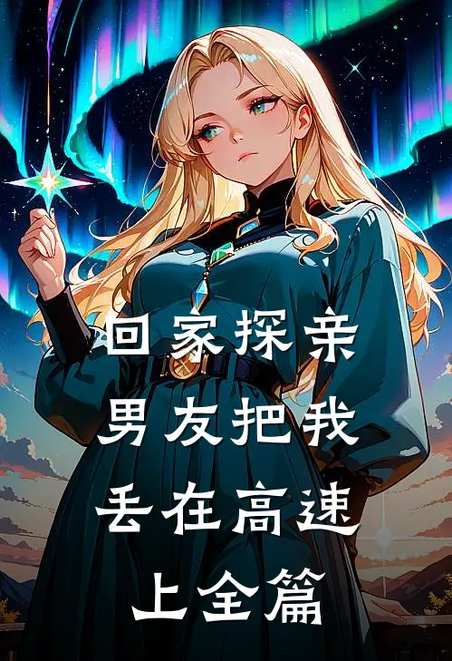 回家探亲，男友把我丢在高速上全篇