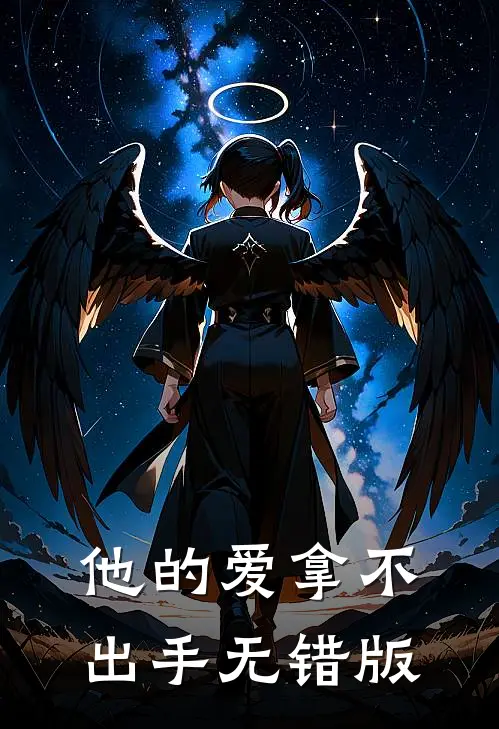 他的爱拿不出手无错版
