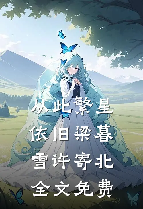 从此繁星依旧梁暮雪许寄北全文免费