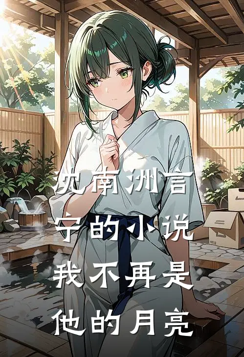 沈南洲言宁的小说我不再是他的月亮