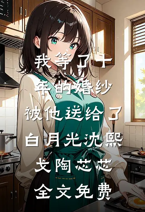 我等了十年的婚纱，被他送给了白月光沈熙戈陶芯芯全文免费