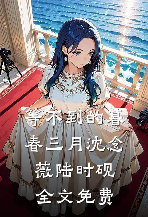 等不到的暮春三月沈念薇陆时砚全文免费