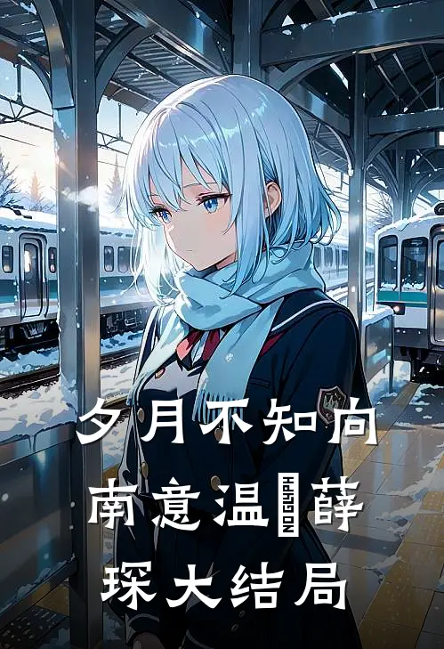 夕月不知向南意温珮薛琛大结局