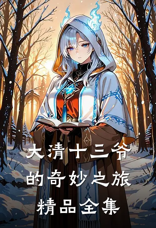 大清十三爷的奇妙之旅精品全集