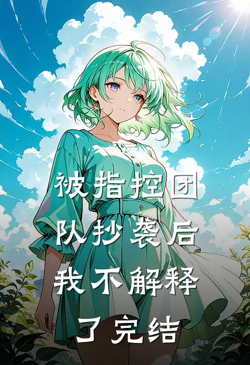 被指控团队抄袭后，我不解释了完结