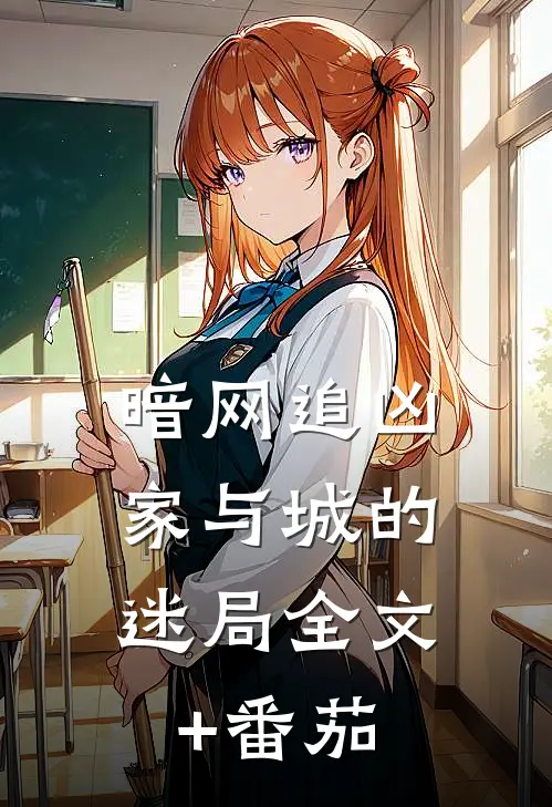 暗网追凶：家与城的迷局全文+番茄