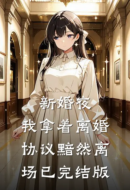 新婚夜，我拿着离婚协议黯然离场已完结版