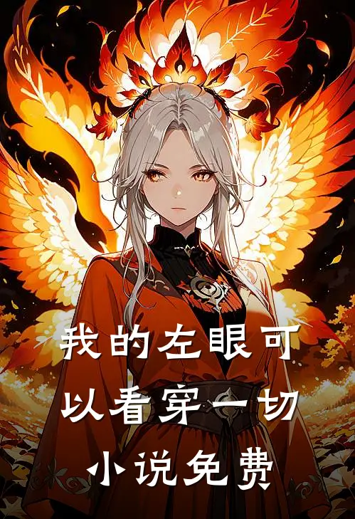 我的左眼可以看穿一切小说免费