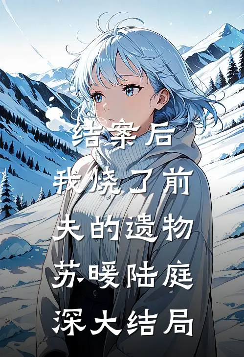 结案后，我烧了前夫的遗物苏暖陆庭深大结局