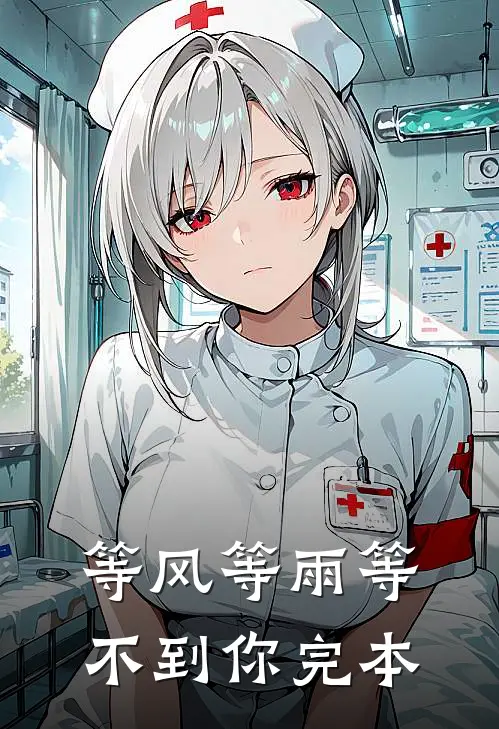 等风等雨等不到你完本
