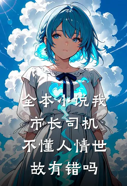 全本小说我市长司机，不懂人情世故有错吗