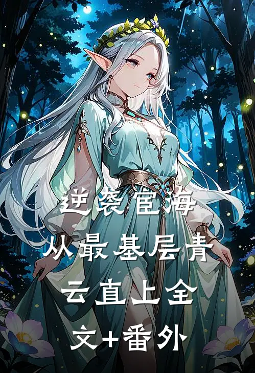逆袭宦海：从最基层青云直上全文+番外