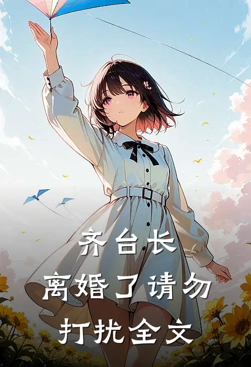 齐台长，离婚了请勿打扰全文