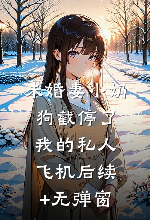 未婚妻小奶狗截停了我的私人飞机后续+无弹窗